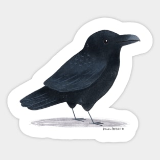 American Crow Sticker